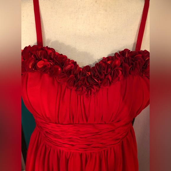 Vintage Red Rose Sleeveless Dress 💋 - Picture 15 of 16